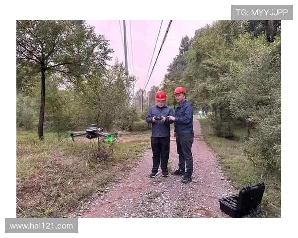 无人机在电力巡检中的障碍物